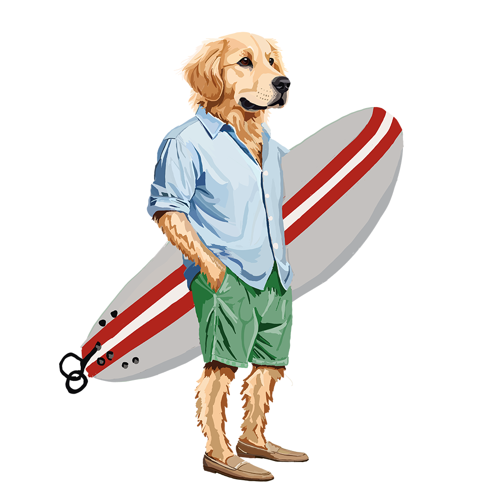 The Surfer